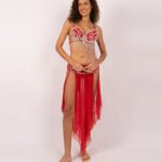 Belly dance suits